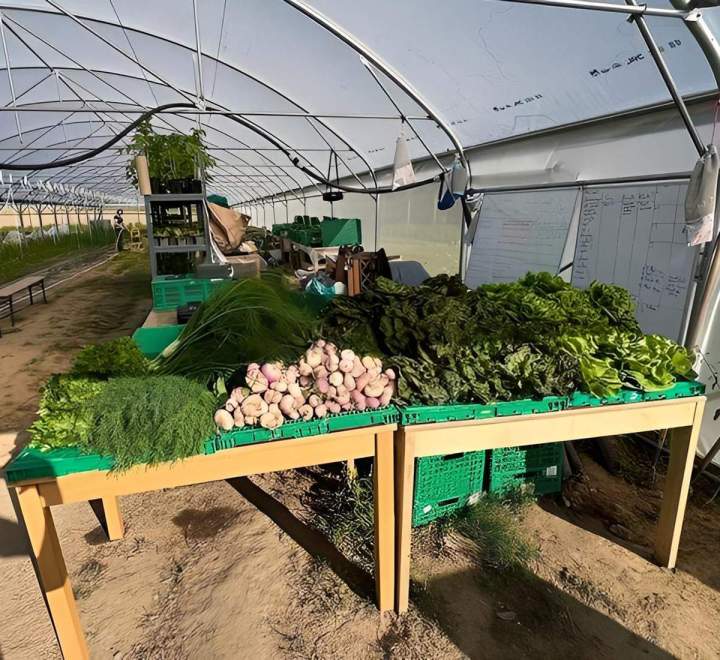 Vente des légumes et fruits Épinay-sur-Orge