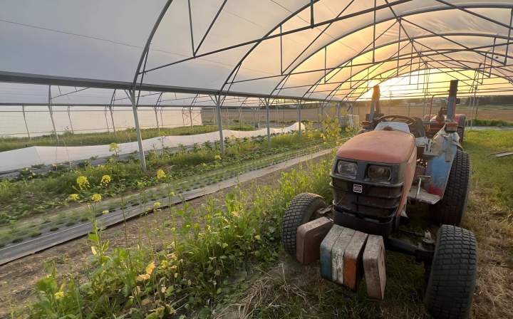Ferme maraîchère Épinay-sur-Orge