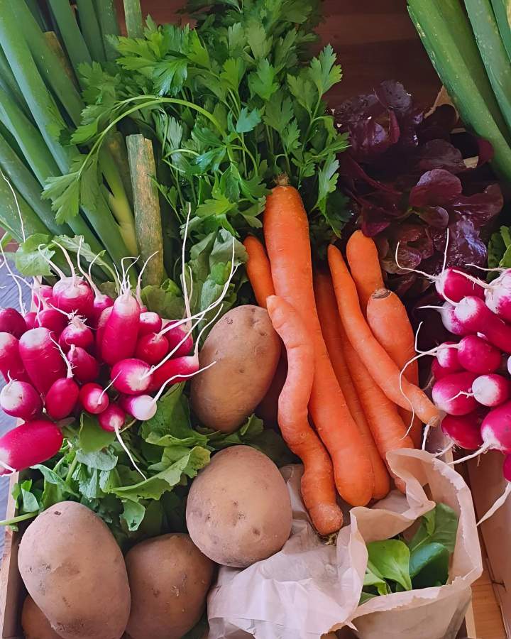 Vente de produits bio de saison Draveil