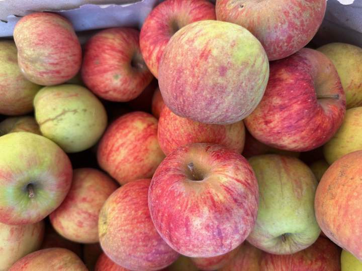 Du bio et du local, la recette du frais et savoureux