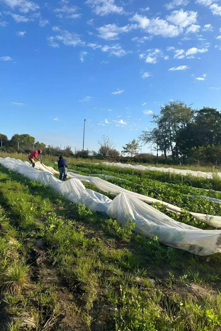 Maraîchage biologique Draveil