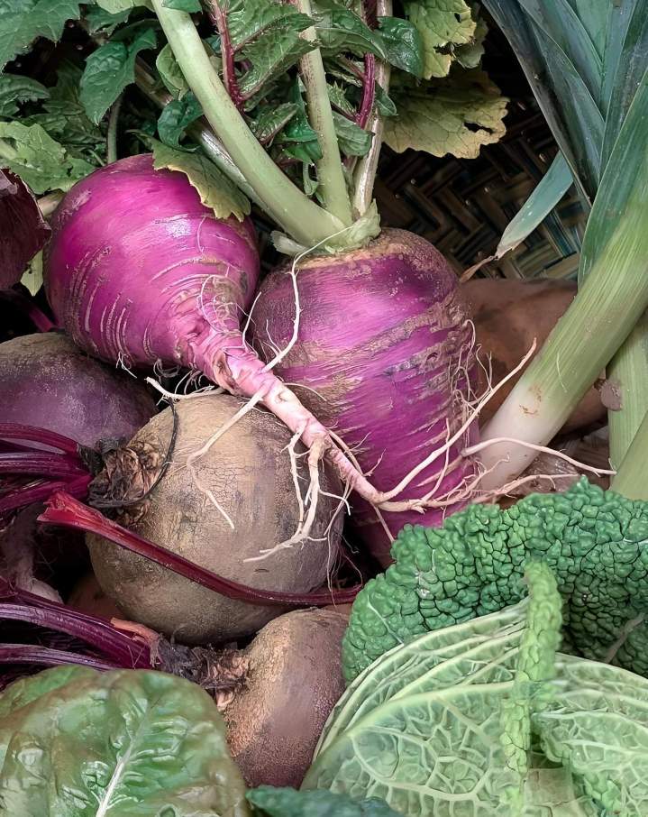 Légumes frais, bio et cultivés avec soin