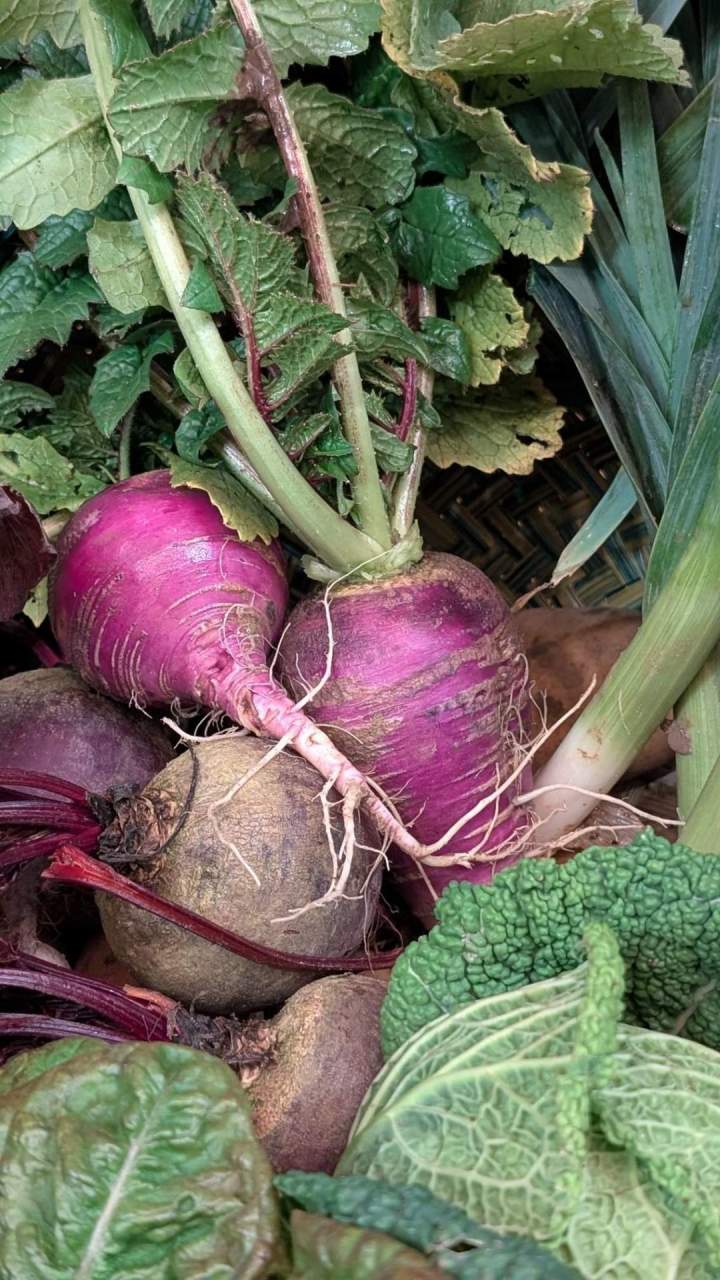 Du bio et du local, la clé du mieux manger