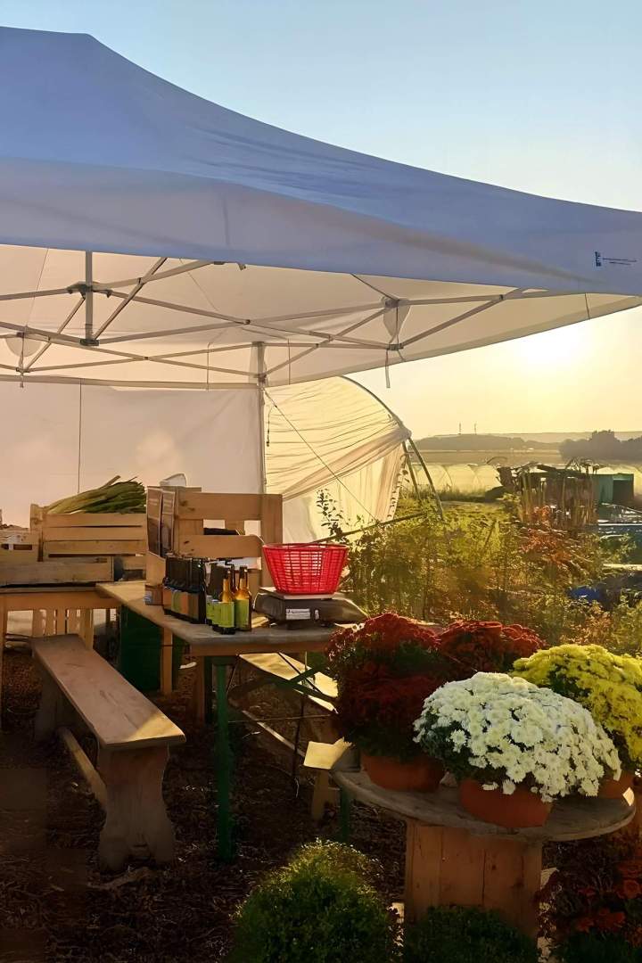 Ferme maraîchère avec vente directe et circuit court Draveil