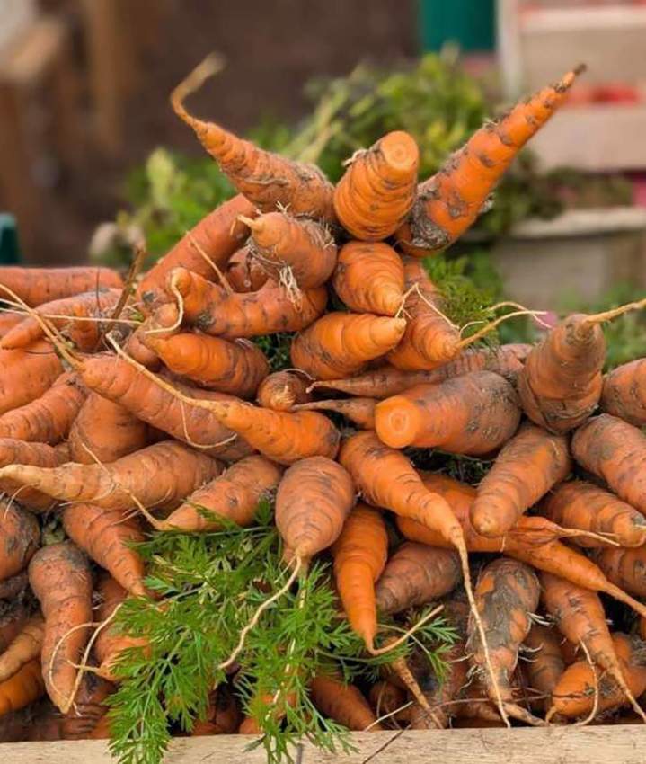 Des légumes bio et frais Draveil