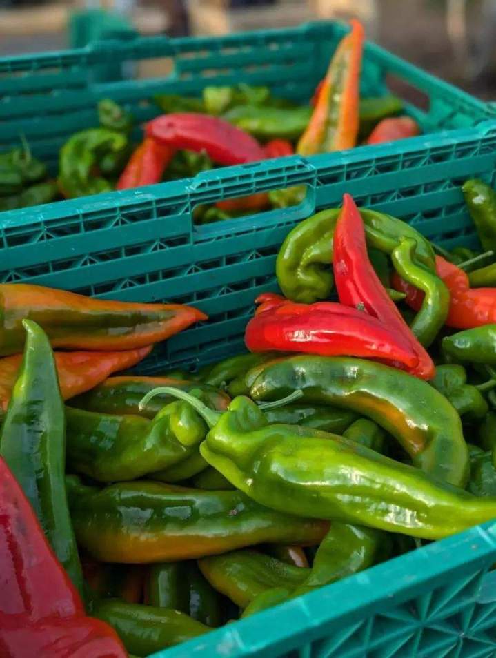 Des piments bio Draveil