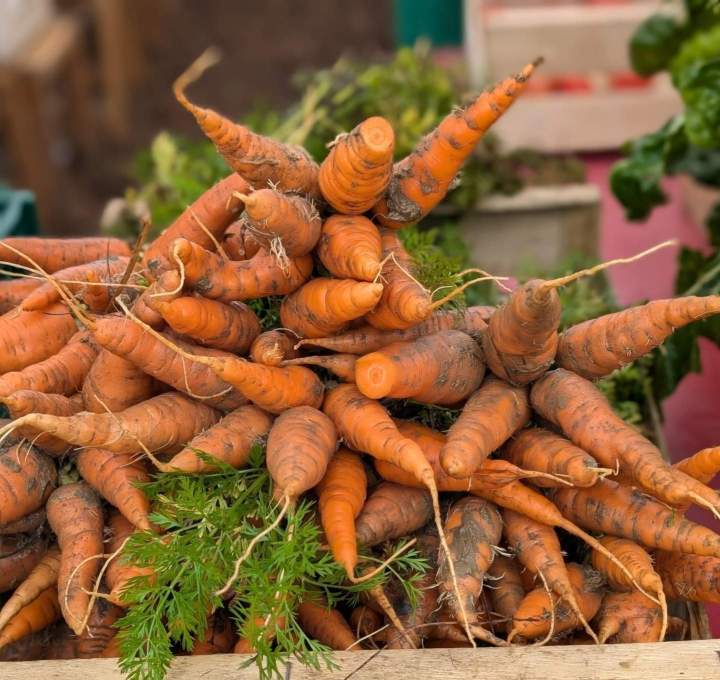 Vente de légumes bio Épinay-sur-Orge