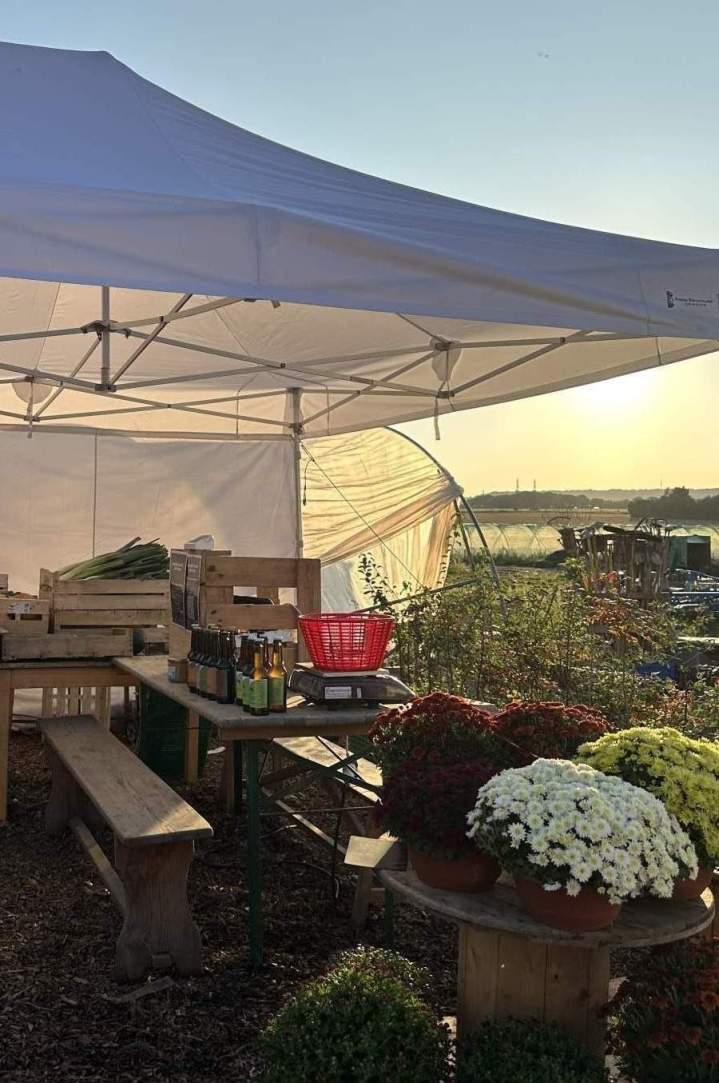 Vente de légumes bio Épinay-sur-Orge