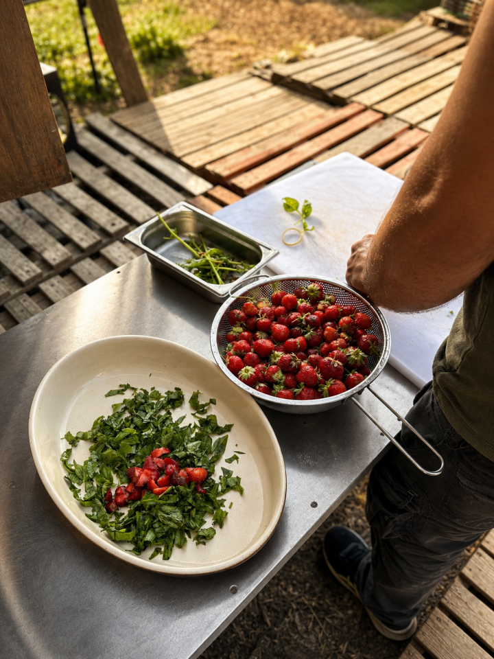 photo recette tomate 4